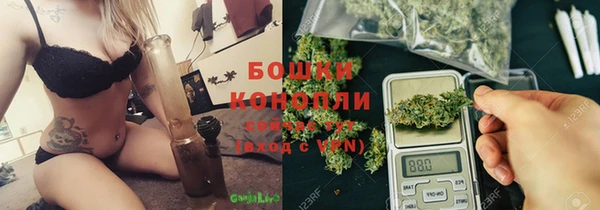 стаф Рославль