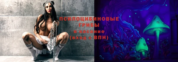 крисы Вяземский