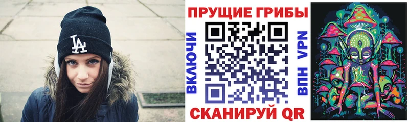 blacksprut маркетплейс  Дмитровск  Галлюциногенные грибы Psilocybe 