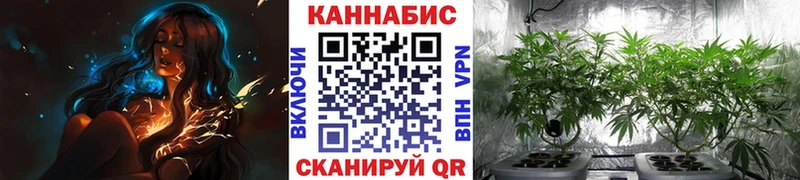 Шишки марихуана OG Kush Дмитровск